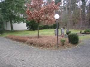 Der zukünftige Platz für das gärtnergepflegte Grabfeld
