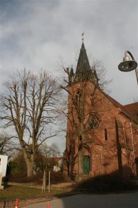 Linden in Staffort