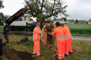 In Zusammenarbeit mit dem städtischen Bauhof hat die EnBW dem Storchenpaar ein neues Heim gegeben