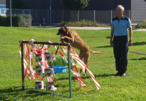 Sprung Hund