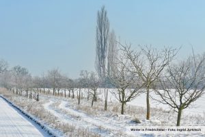 Januar-Motiv