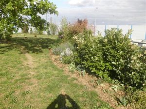 Querspange Friedrichstal Nord