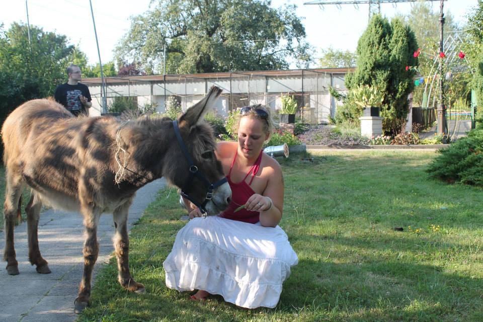 Sommerfest (Foto: Verein der Vogelfreunde Blankenloch) Sommerfest