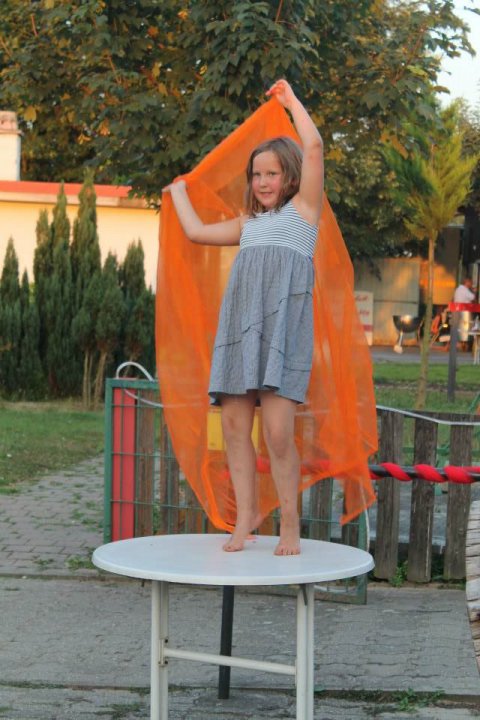 Sommerfest (Foto: Verein der Vogelfreunde Blankenloch) Sommerfest