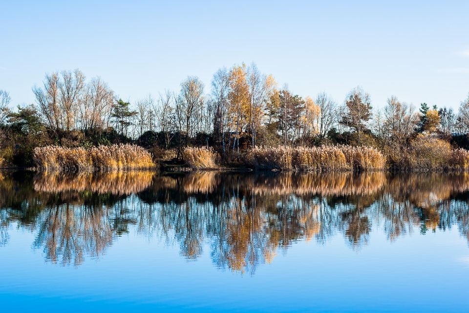 Blick über'n See
