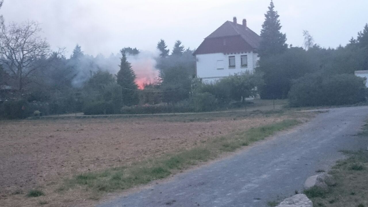 Flächenbrand Blankenloch