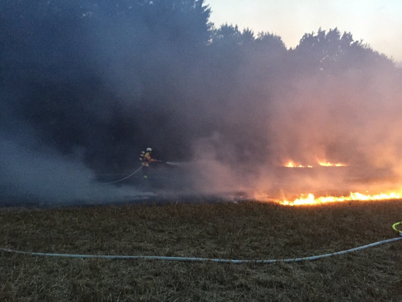 Flächenbrand Blankenloch