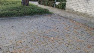 Parkplatzschäden Karlsruher Ring