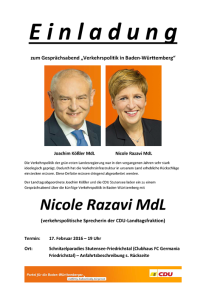 CDU Verkehrspolitik