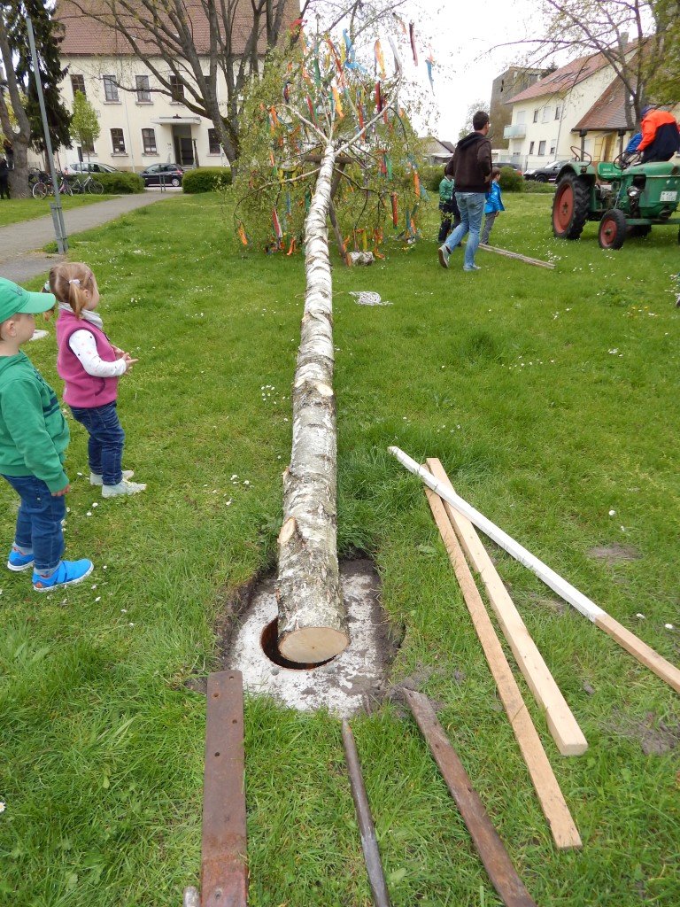 Der Baum muss in dieses Loch