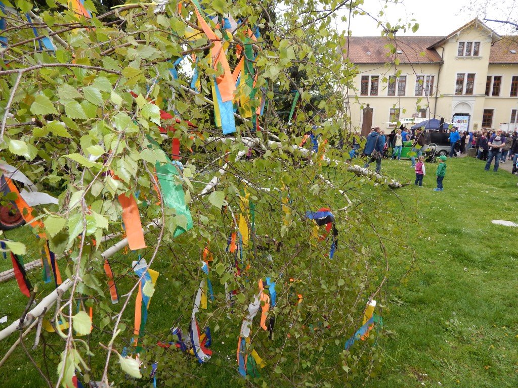 Der Maibaum