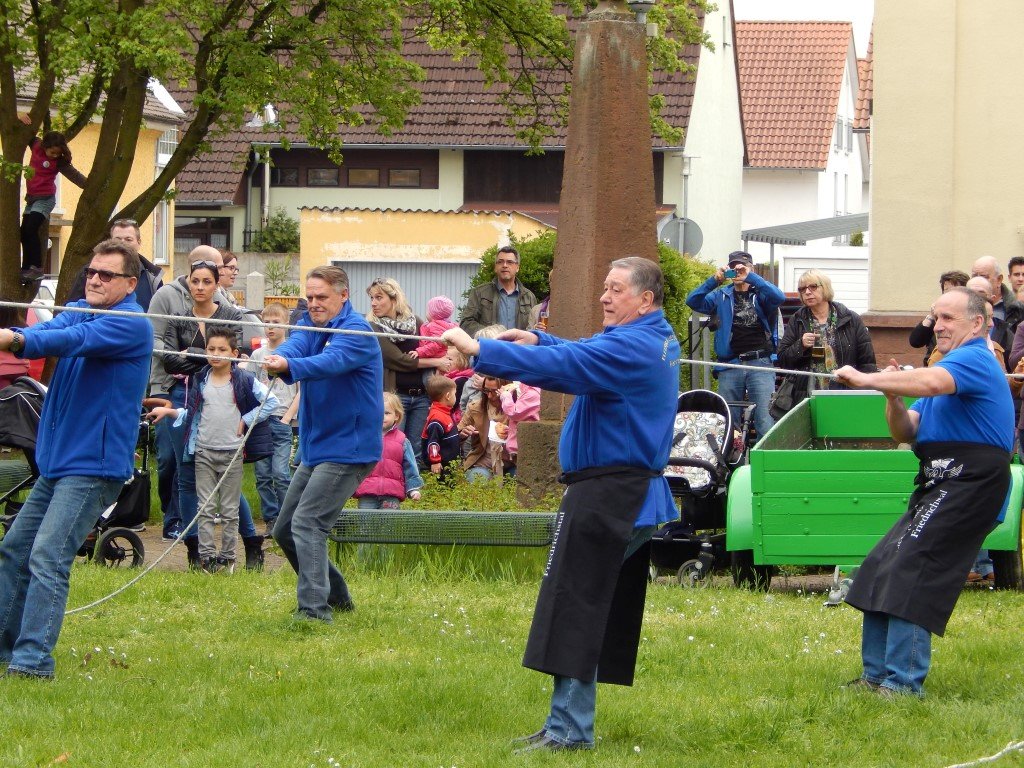 Der Maibaum wird aufgerichtet
