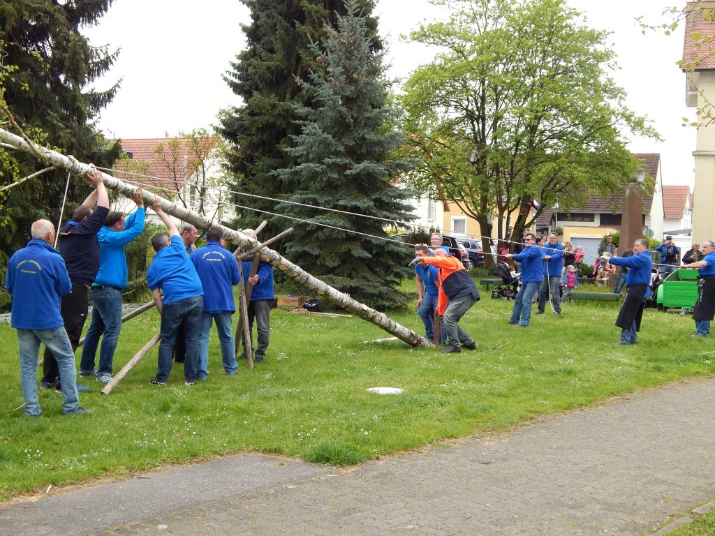 Der Maibaum wird aufgerichtet