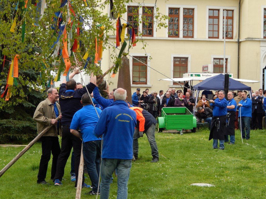 Der Maibaum wird aufgerichtet
