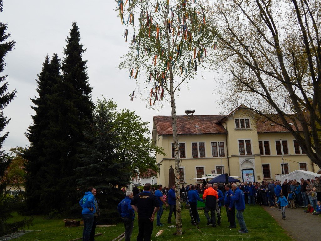 Der Maibaum steht