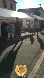 Pokémon auf dem Spöcker Straßenfest
