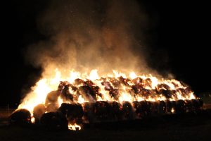 Heuballenbrand Friedrichstal