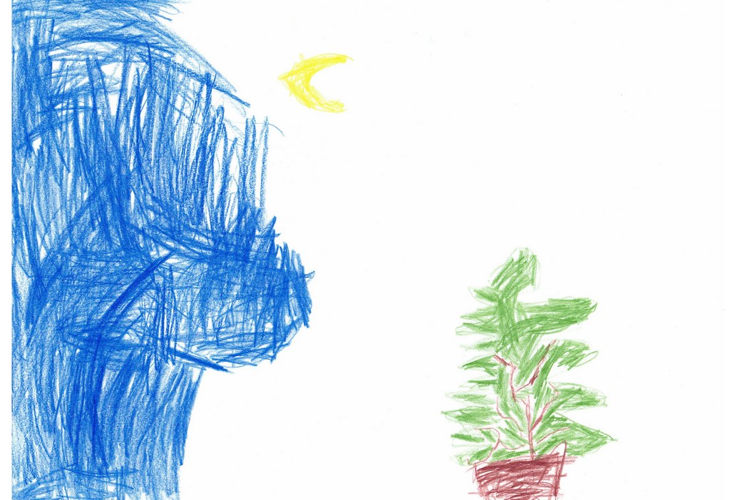 Der Nachthimmel mit Mond und einem Tannenbaum (Kita Regenbogen)