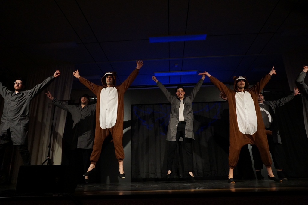 Männerballett